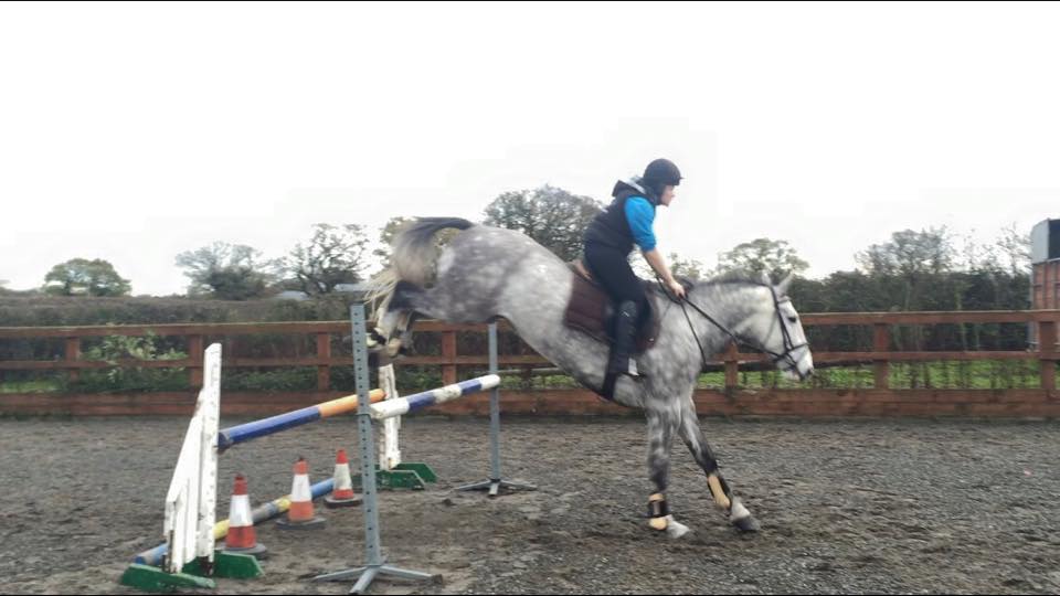 Dallas Right Ride Horses